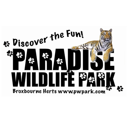 Paradise Wildlife Park (iPod) - Zebra